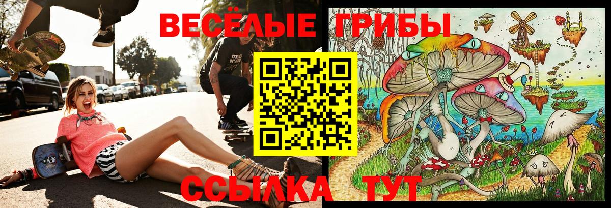 Псилоцибиновые грибы Psilocybe  Вход с VPN  Кизилюрт 